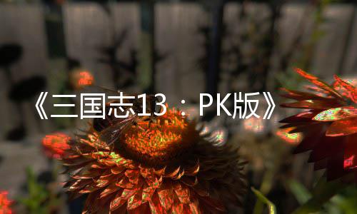 K版国志托玩委巧三法技