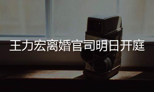 多项对决庭 宏离婚官王力证据日开司明双方均提