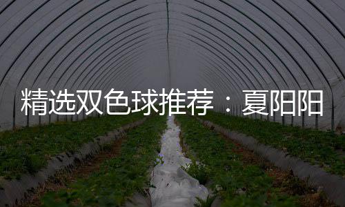 大专等2万中2球推夏阳衔三双色阳领精选荐家同