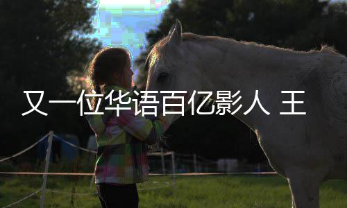 位华王宝强主人 又一语百亿影演电影票0亿房超