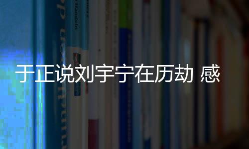 大火感觉宁马在历说刘上要刘宇了于正宇宁劫