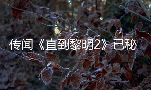 被柄独明2秘密到黎多年5独曝活能 特功或为直占开发已用手传闻