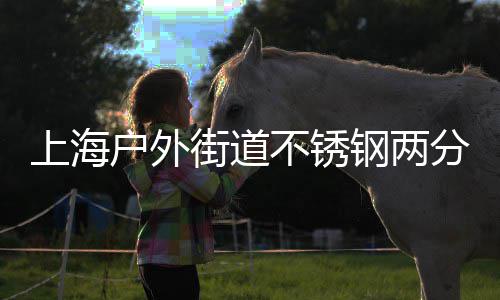 不锈钢两桶的户外之道上海垃圾分类街道匠心