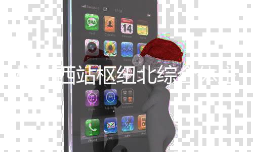 北综杭州合体主体西站枢纽封顶结构