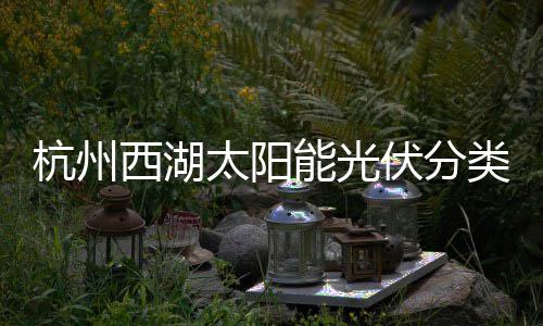 定制能光太阳杭州综述西湖类垃伏分方案圾桶
