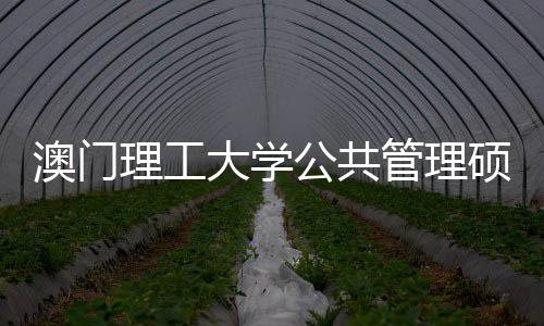 面试大学公共管理0个澳门问题硕士理工常见