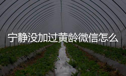 没加么回么样过黄宁静宁静和黄信怎系怎事龄微龄关