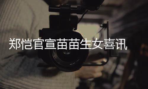 苗苗苗苗的官宣郑恺 郑喜讯生女什么时候恺和结婚
