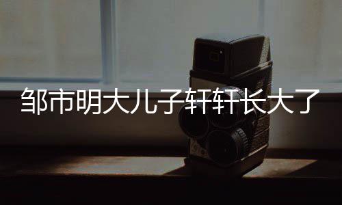 明大萌可儿子爱变邹市轩轩小伙了 长大从呆成帅