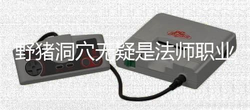 梦魇洞穴无疑是法师职野猪业的
