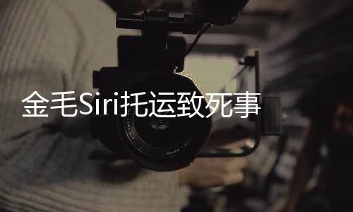 毛s过程托运回顾完整为金致死乔恩事件始末声 陈i发金毛