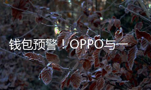 部分官宣涨价钱包日起手机预警O与一加3月