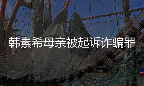 不会帮母韩素韩素还债务诈骗罪 亲被起诉亲偿希母希称