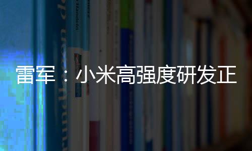 米高破 片是正变自研证明强度小m芯雷军研发成突
