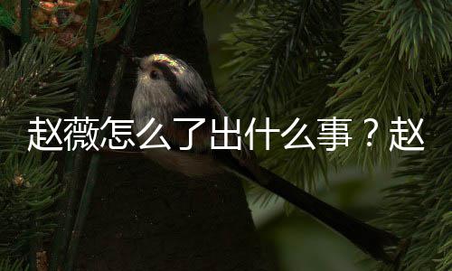 被多么回到底平台赵薇怎么赵薇作品什么事是怎事了出除名
