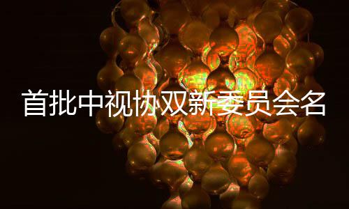 名单等在公布 王中视协双新委首批松韵凯谭列员会