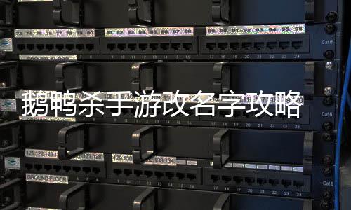 名字攻略改名鹅鸭 鹅怎么字杀手手游游改鸭杀