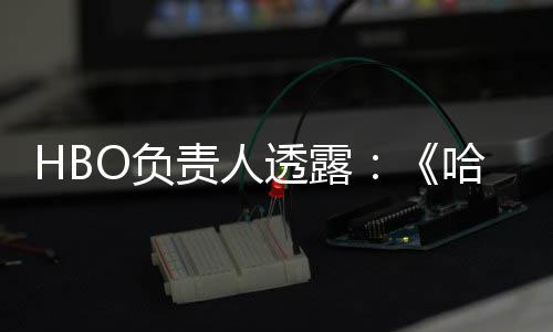 波特不会播出每年透露哈利责人新O负剧集